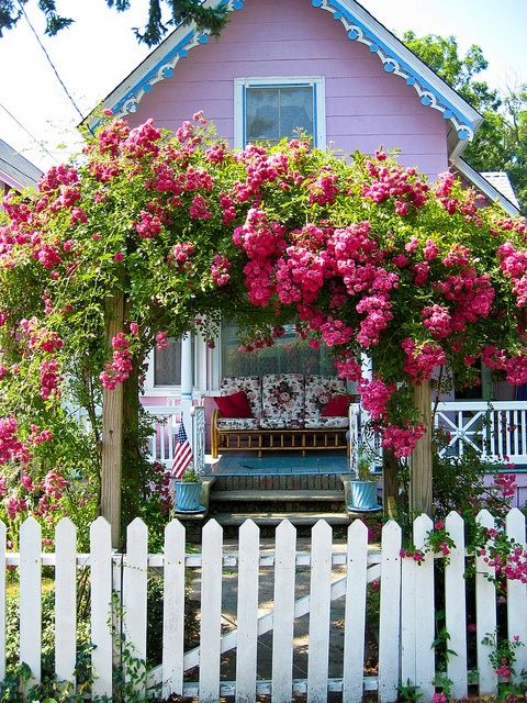 pink roses arch garden white picket fence