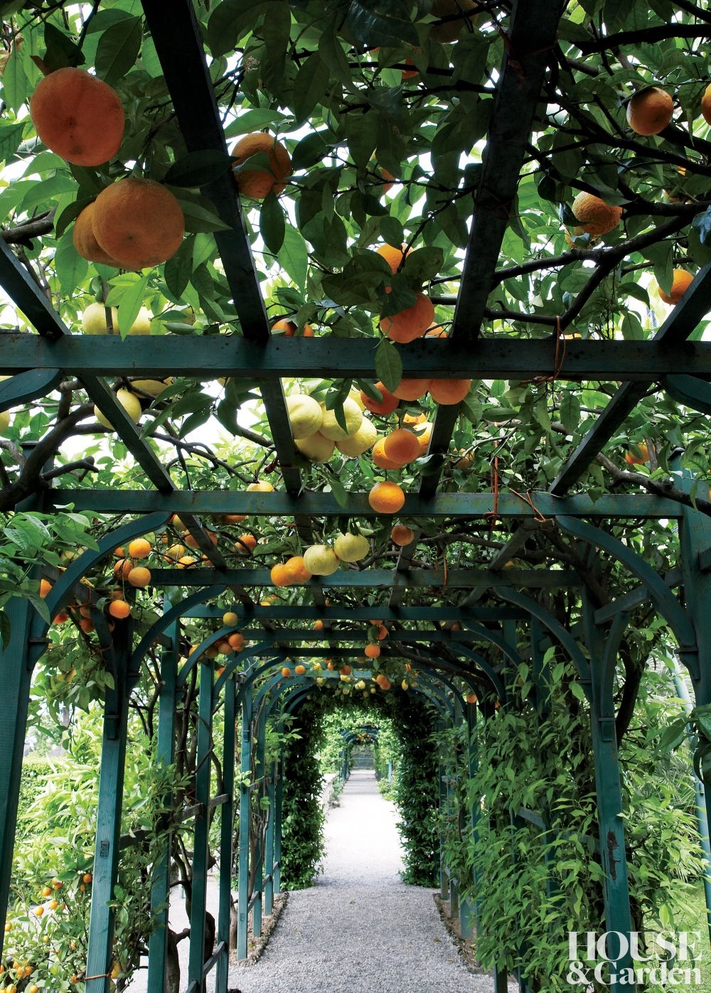 orange tunnel garden ideas hanging california