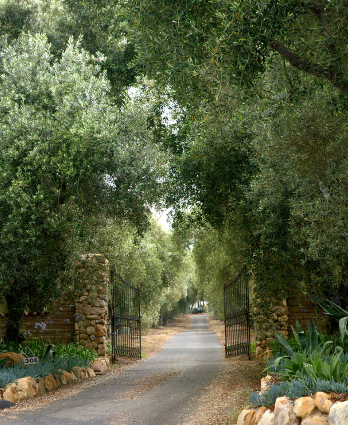 gate-entrance-magical-country